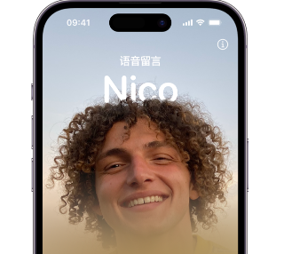 滨州苹果15服务站分享iPhone15实时语音留言开启方法 