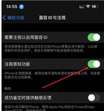 滨州苹果14维修网点分享iPhone14注视感知功能有什么用 