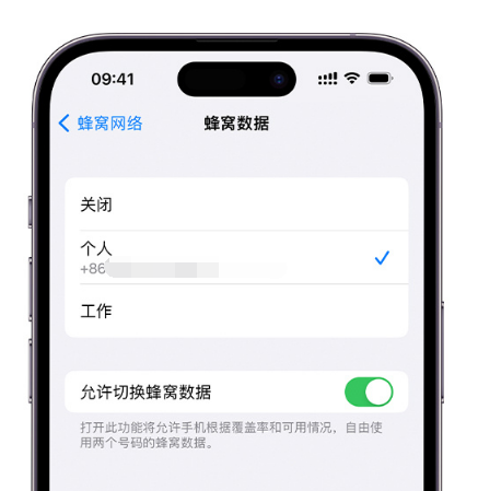 滨州苹果维修服务分享如何在iPhone上使用双卡 